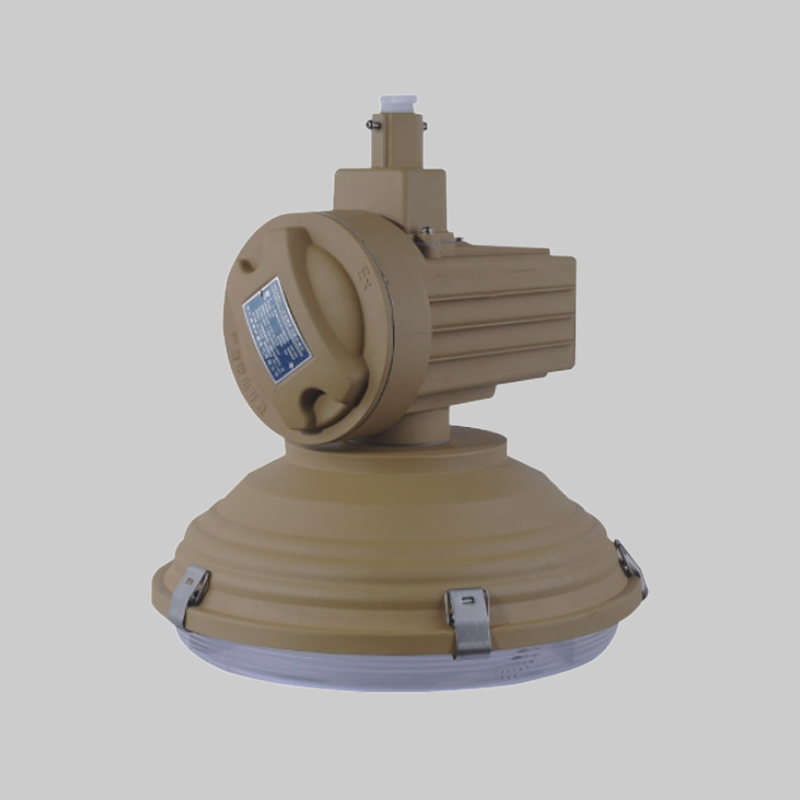 人民電器，人民電器集團(tuán)，人民電器集團(tuán)有限公司，中國(guó)人民電器，RDB88-D防爆免維護(hù)低碳無(wú)極燈(LED)