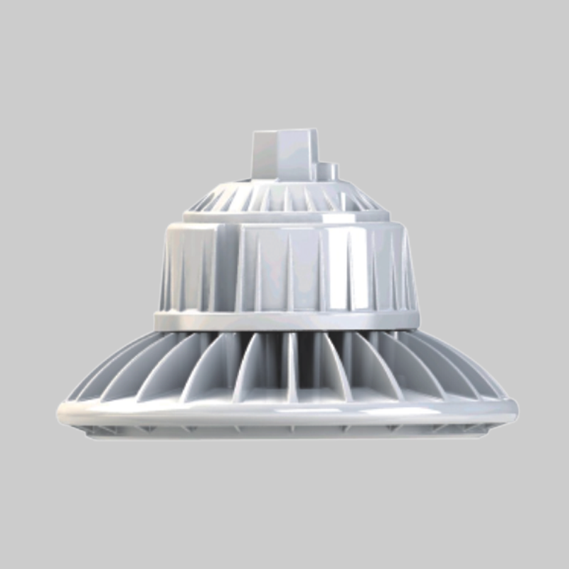 人民電器，人民電器集團，人民電器集團有限公司，中國人民電器，RDB98-C100防爆免維護節(jié)能燈(LED)