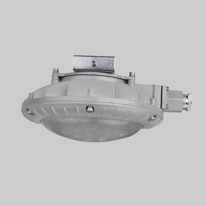 人民電器，人民電器集團(tuán)，人民電器集團(tuán)有限公司，中國(guó)人民電器，RDB98-C40防爆免維護(hù)節(jié)能燈(LED)