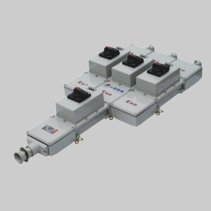 人民電器，人民電器集團，人民電器集團有限公司，中國人民電器，BXX51系列防爆動力檢修箱(ⅡB、ⅡC)