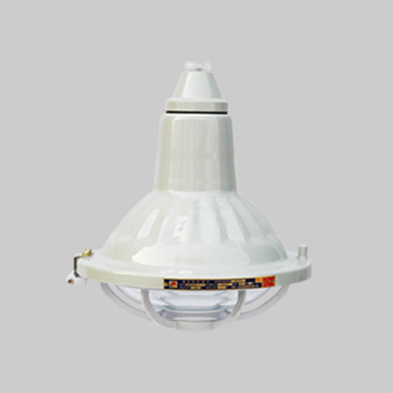 人民電器，人民電器集團(tuán)，人民電器集團(tuán)有限公司，中國人民電器，BAD51-DIP系列粉塵防爆燈(DIP)