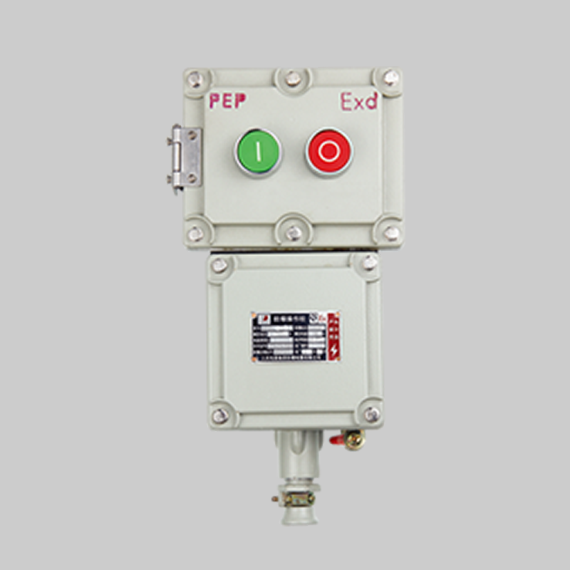 人民電器，人民電器集團(tuán)，人民電器集團(tuán)有限公司，中國人民電器，BLK-DIP系列粉塵防爆斷路器(DIP)