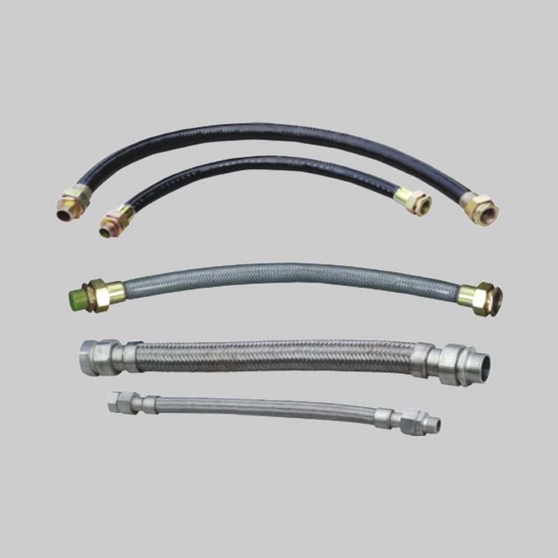 人民電器，人民電器集團(tuán)，人民電器集團(tuán)有限公司，中國(guó)人民電器，BNG-DIP系列粉塵防爆撓性連接管(DIPA 20)