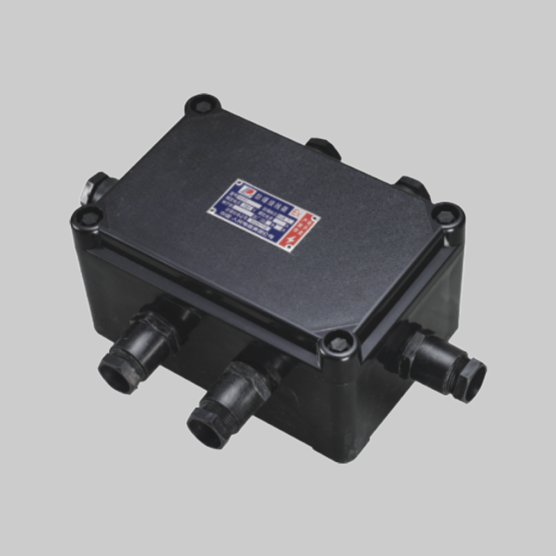 人民電器，人民電器集團(tuán)，人民電器集團(tuán)有限公司，中國(guó)人民電器，BXJ8030系列防爆防腐接線箱(ⅡC)