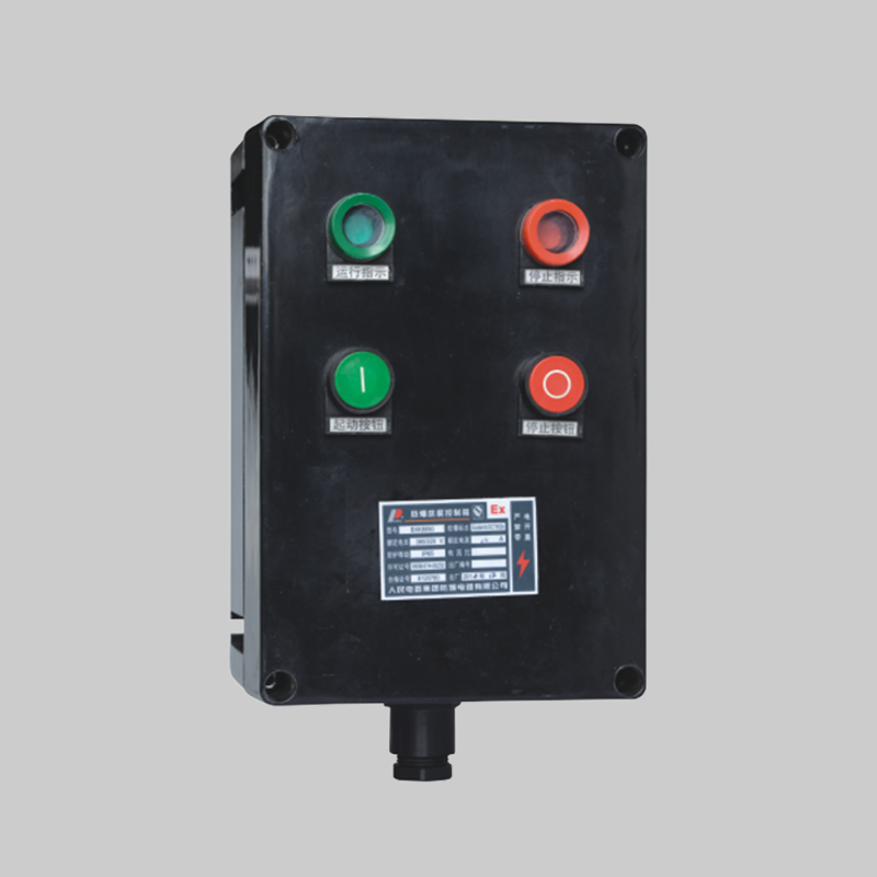 人民電器，人民電器集團(tuán)，人民電器集團(tuán)有限公司，中國(guó)人民電器，BXK8050系列防爆防腐控制箱（ⅡC）