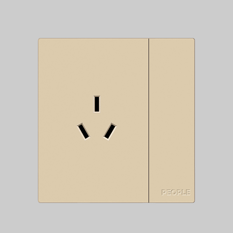 人民電器，人民電器集團，人民電器集團有限公司，中國人民電器，一聯(lián)開關(guān)帶三插16A插座(R86H6)