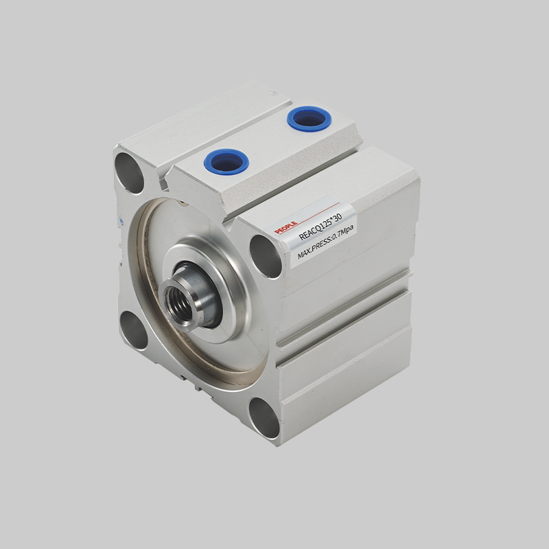 人民電器，人民電器集團(tuán)，人民電器集團(tuán)有限公司，中國(guó)人民電器，REACQ系列超薄氣缸-大缸徑