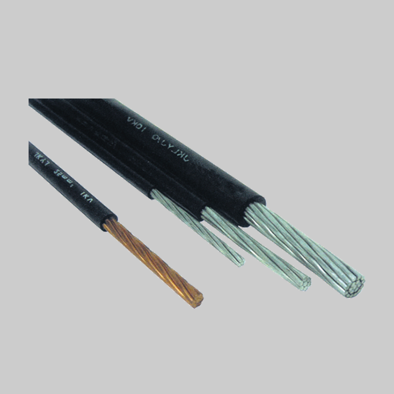 人民電器，人民電器集團，人民電器集團有限公司，中國人民電器，架空絕緣電纜