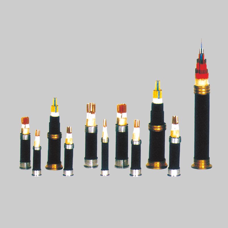 人民電器，人民電器集團，人民電器集團有限公司，中國人民電器，控制電纜