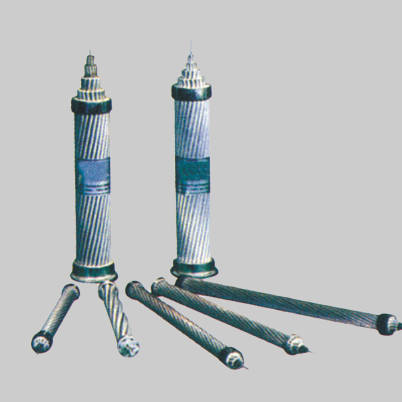 人民電器，人民電器集團，人民電器集團有限公司，中國人民電器，鋁絞線及鋼芯鋁絞線