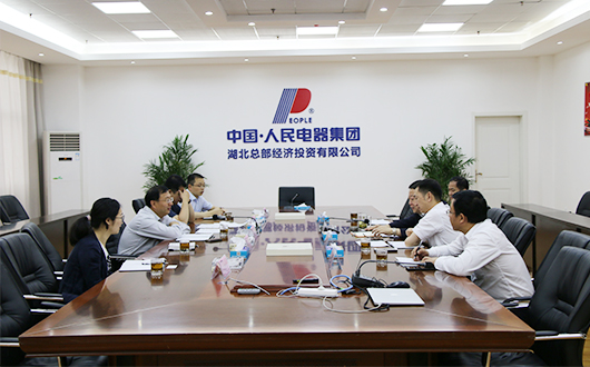 人民電器,人民電器集團(tuán),中國(guó)人民電器集團(tuán)