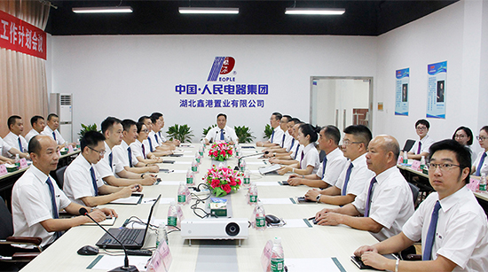 人民電器,人民電器集團,中國人民電器集團